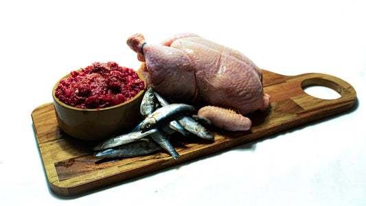 Raw Dog Food Chicken & Oily Fish