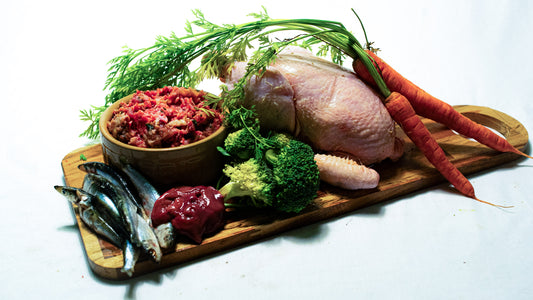 Raw Dog Food Chicken Complete