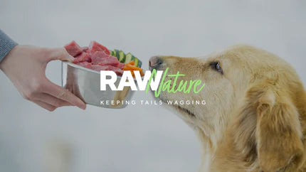 Why You Should Buy Raw Dog Food Online