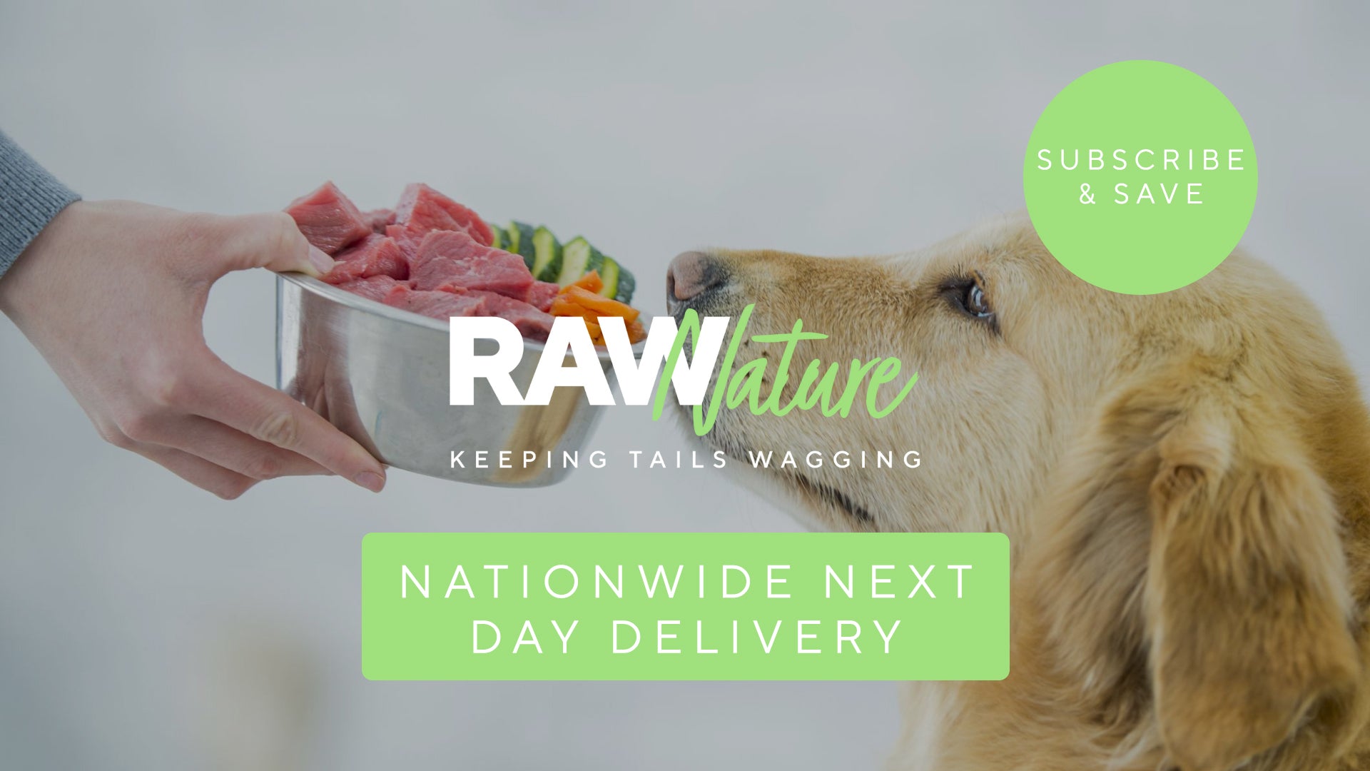 Raw dog deals food delivery